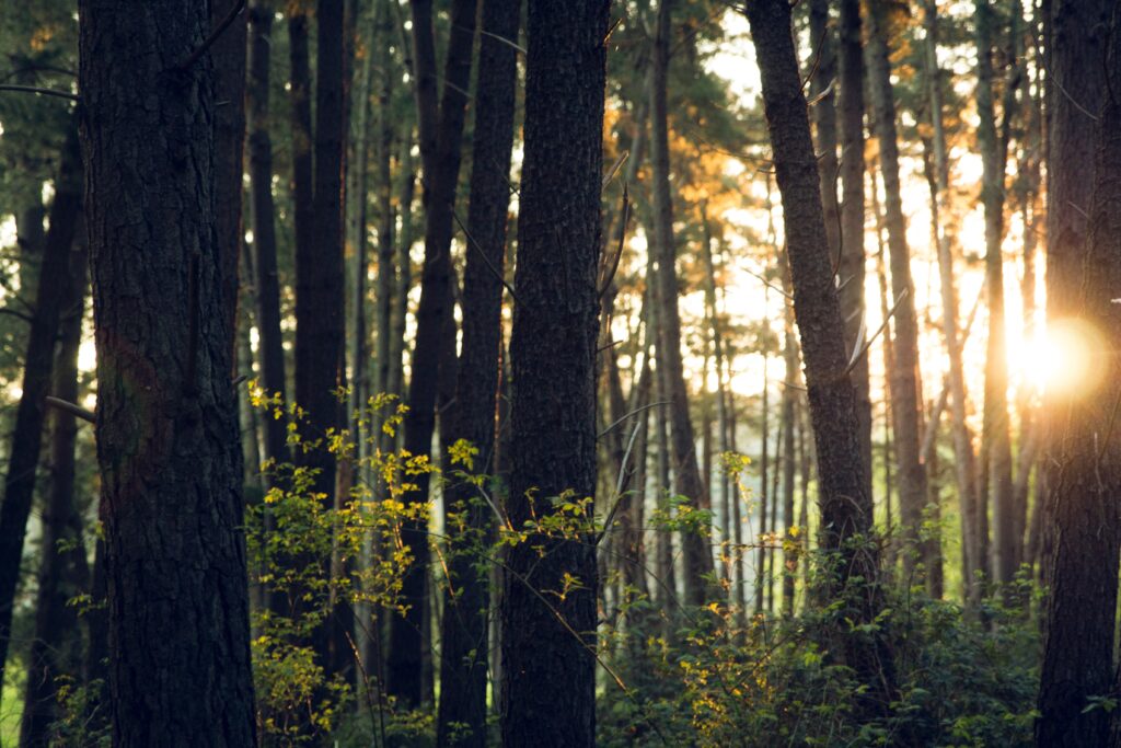 relapse prevention, yoga and meditation for recovery, holistic approach to treatment