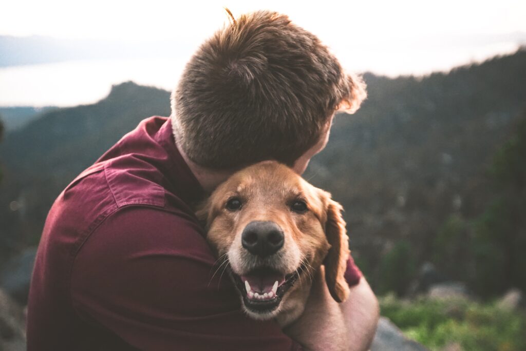 therapy dog substance use disorder, animal-assisted therapy in recovery, pets and recovery
