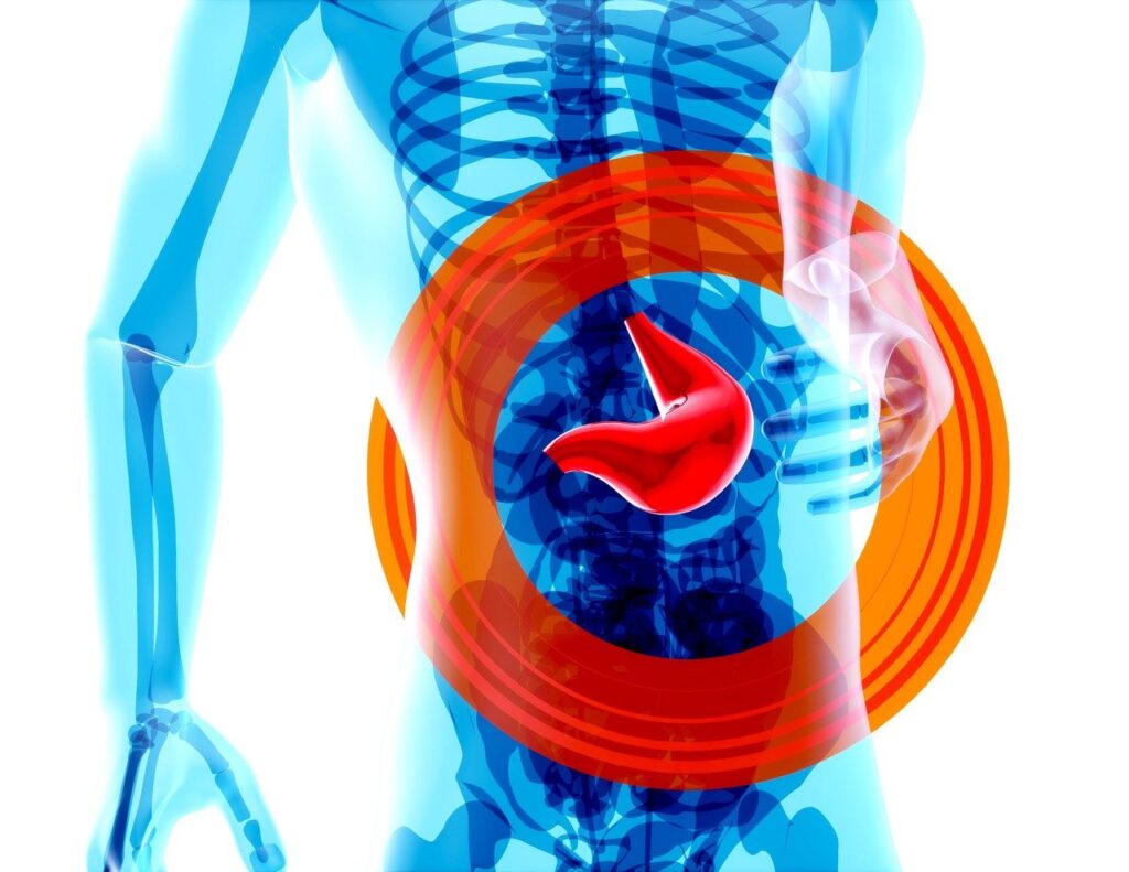 gut health addiction recovery, healthy eating addiction recovery